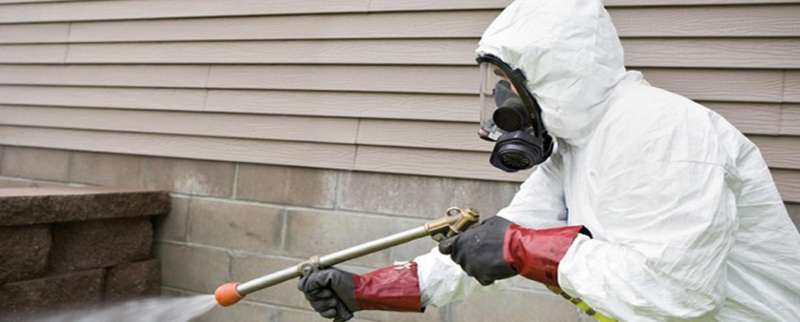 emergency pest control services in Barrington, IL