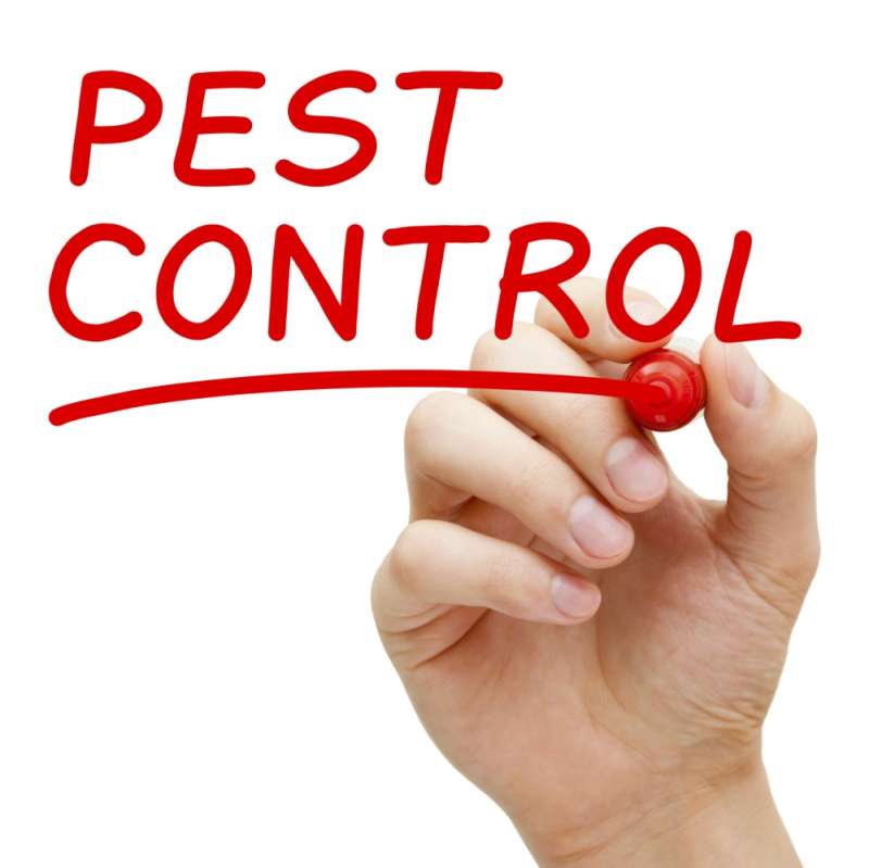 professional pest control company in Cedar Springs, MI