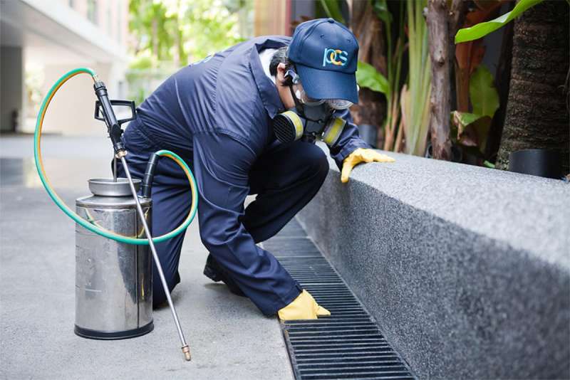 commercial pest control companies in Prospect