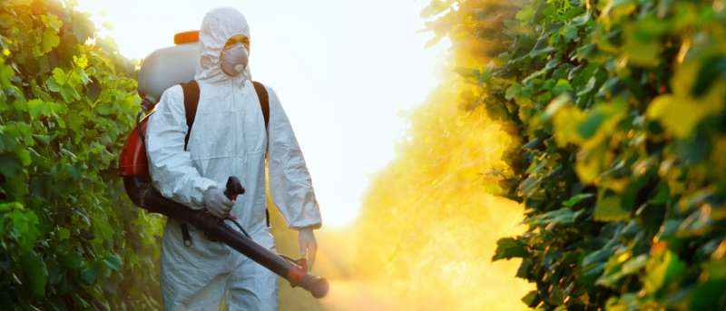fumigation pest control in Holly Springs, GA