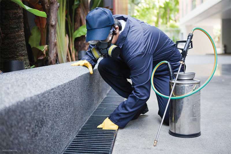 emergency pest services in Shorewood, IL