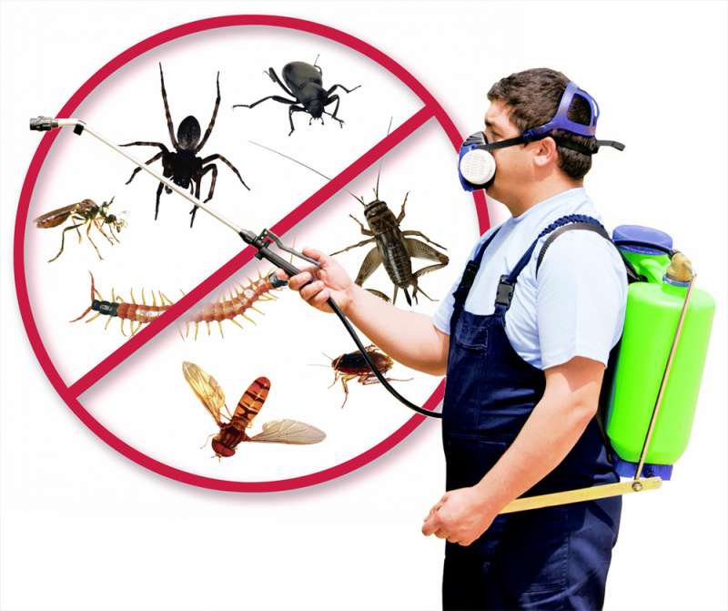 suburban pest control in Kouts, IN