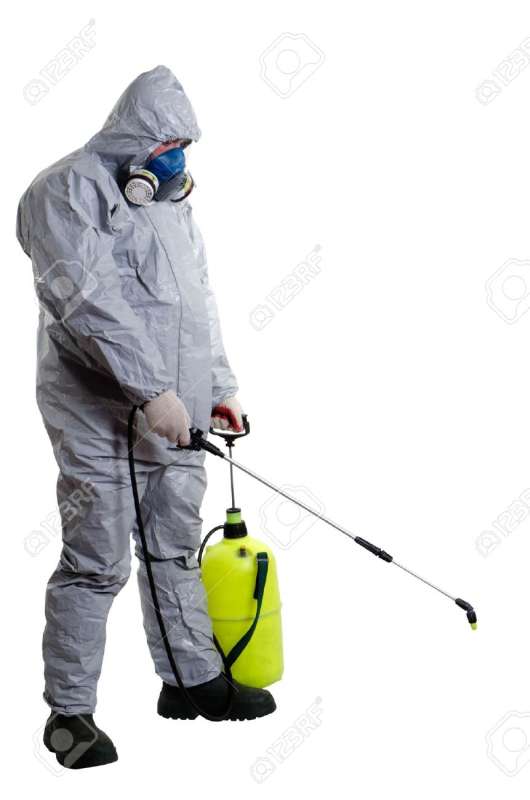 professional pest control services in Country Club Hills, IL