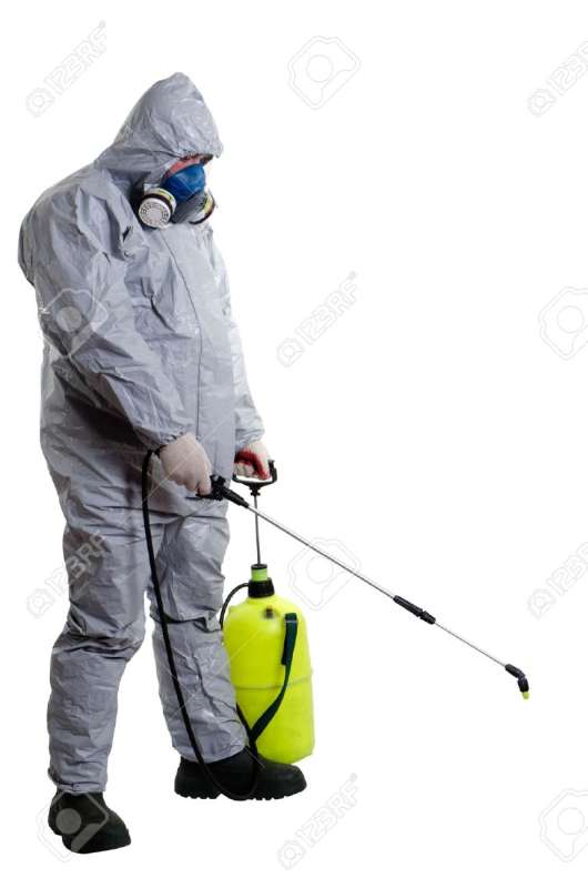 emergency pest services in Colon, MI