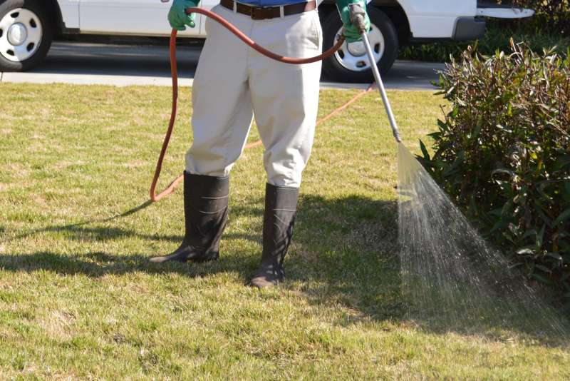rose pest control in Marble Hill, GA