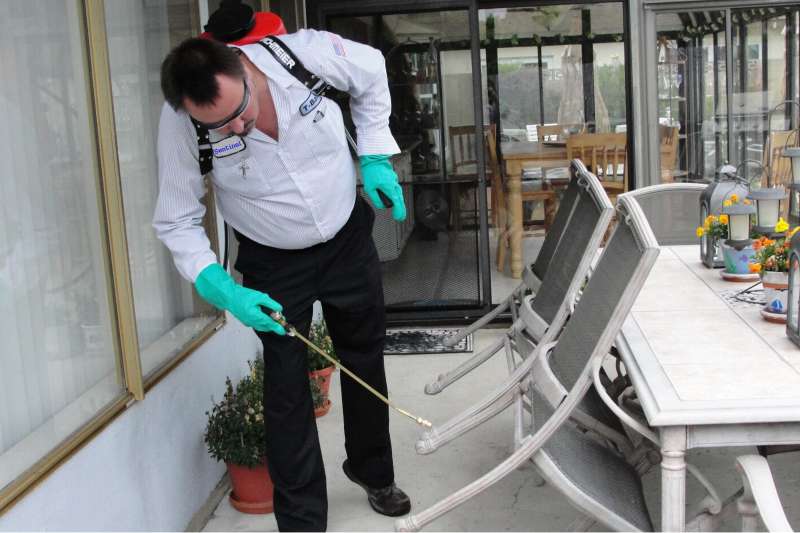 effective pest control in East Peoria, IL