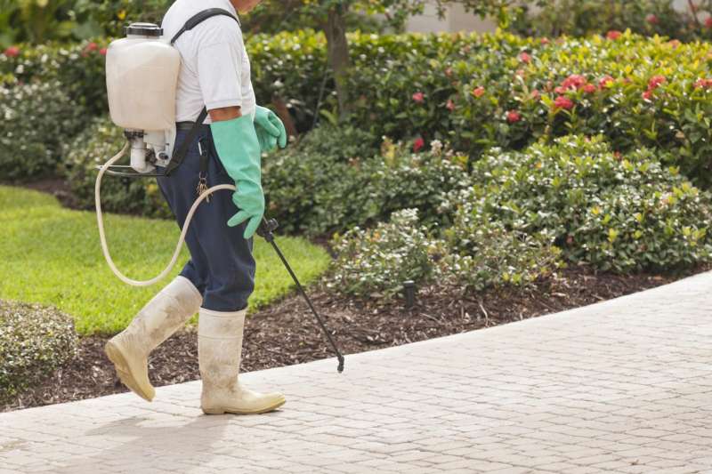 cheap pest control services in Freeport, IL