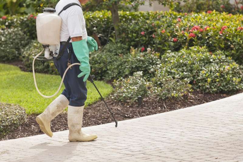 gopher pest control in Syria