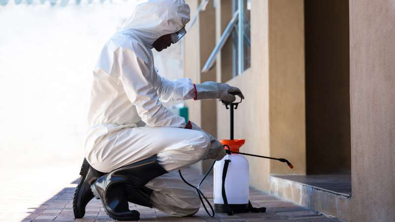 cockroach pest control in Haines City, FL