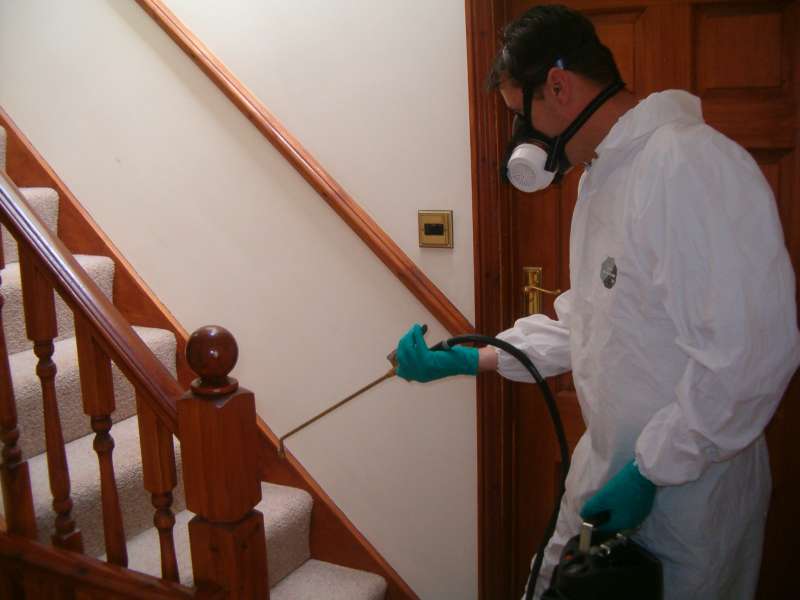 reliable pest control in Elm Hall, MI