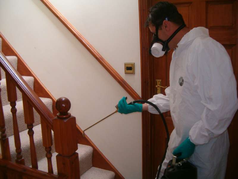 local pest control services in Ann Arbor, MI