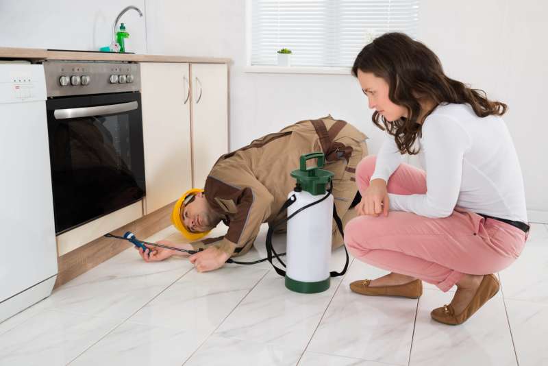 pest free pest control in Centerville, GA