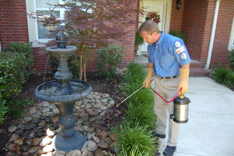 cedar oil pest control in Parrott