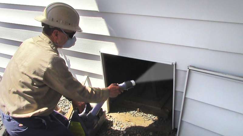 emergency pest removal in Central Garage