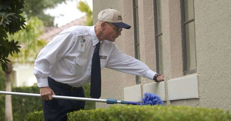 emergency wasp removal in Bellwood