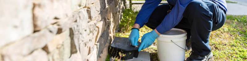 rose pest control in Wakefield