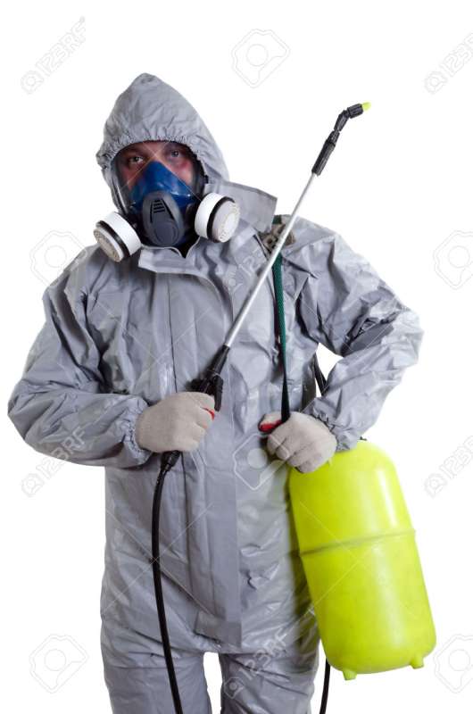 fumigation pest control in Lebanon