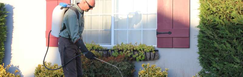 cheap pest control services in Chesterton, IN