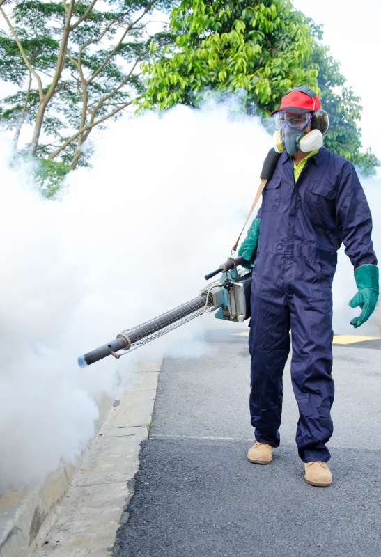 professional pest control products in Bensley