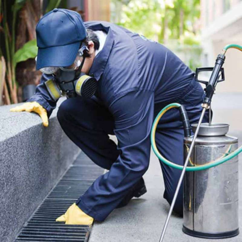 commercial pest control companies in Greenbriar