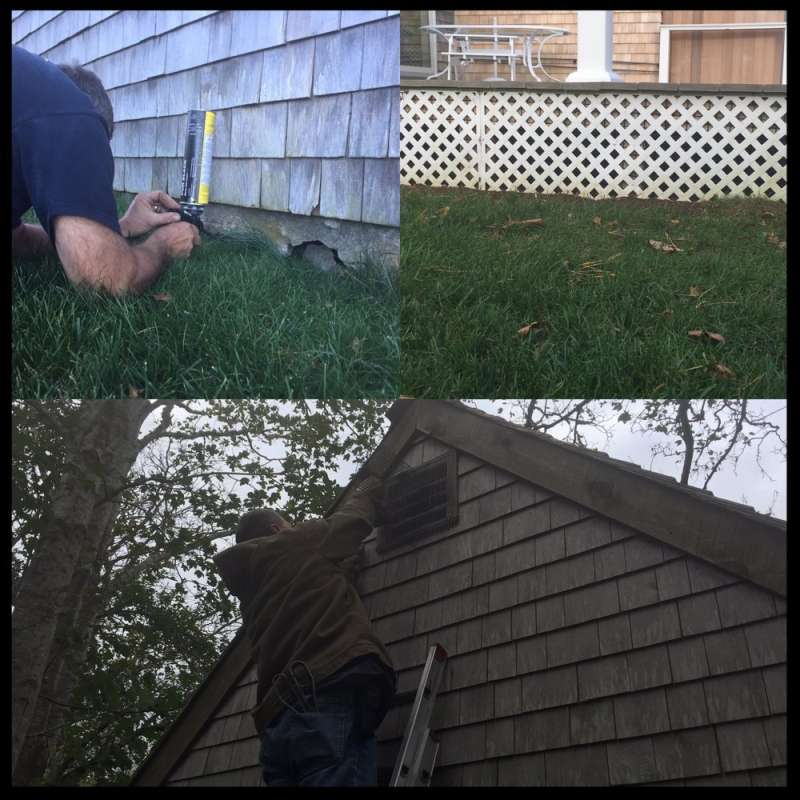 24 hour rodent removal in Lafayette