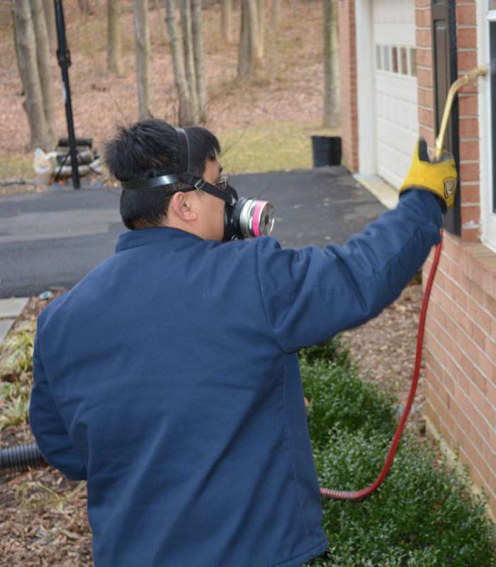 bug out pest control in Millboro