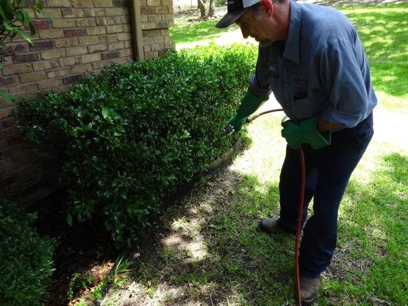 discount pest control in Shawnee Land