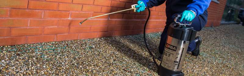 effective pest control in Victoria