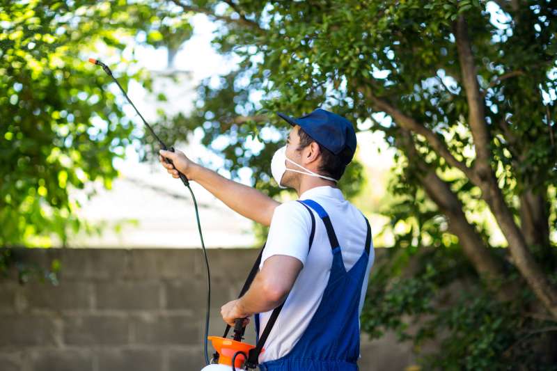 environmental pest control in Villa Heights