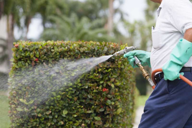 commercial pest control companies in Franconia