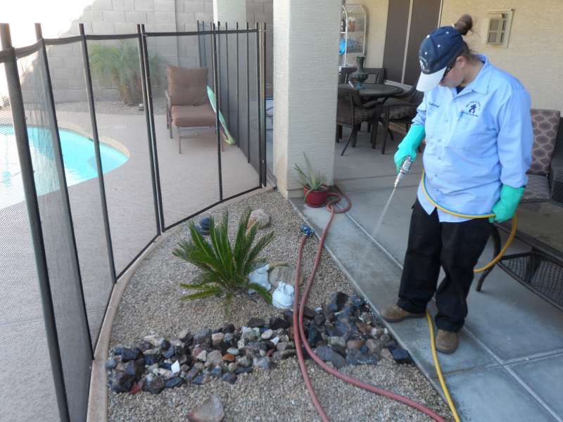 pest control fumigation in Mulberry, IN