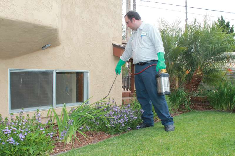 emergency rodent control in Onancock