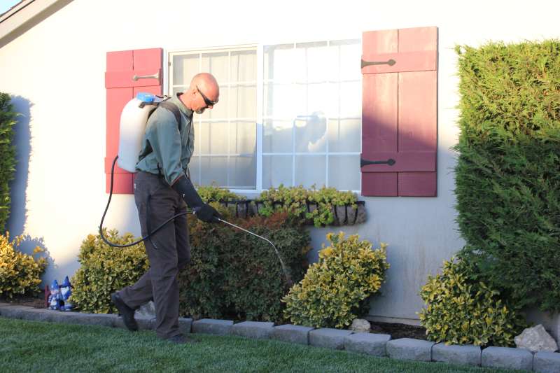 pest control bees in Jewell Valley