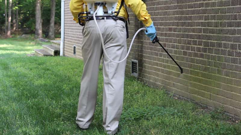 spider pest control in Gloucester Courthouse