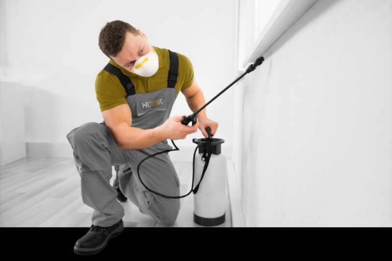 chemical pest control in Belmont Estates